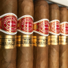 ROMEO Y JULIETA WIDE CHURCHILLS SBN 25