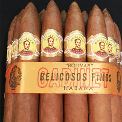 BOLIVAR BELICOSOS FINOS CAB 25