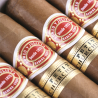 ROMEO Y JULIETA PETIT CHURCHILL SBN 25