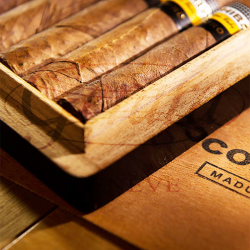 COHIBA MAGICOS MADURO 5 BN 10