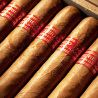 PARTAGAS SERIE D NO 5 BN 10