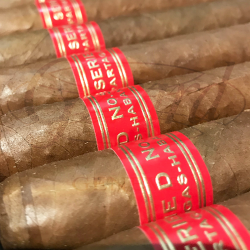 PARTAGAS SERIE D NO 5 BN 10