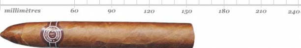 MONTECRISTO NO 2 SBN 25