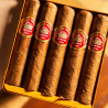 H. UPMANN HALF CORONA TIN 5