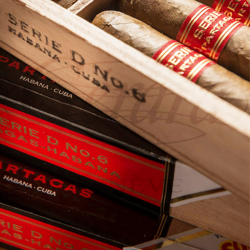 PARTAGAS SERIE D NO 6 ETUI 5