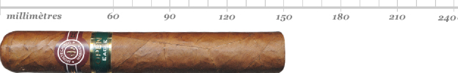 MONTECRISTO OPEN EAGLE SBN 20