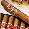 ROMEO Y JULIETA SHORT CHURCHILL SBN 10