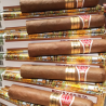 ROMEO Y JULIETA SHORT CHURCHILL SBN 10