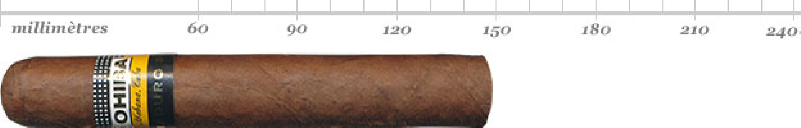 COHIBA GENIOS MADURO 5 BN 10