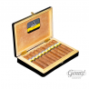 COHIBA MAGICOS MADURO 5 BN 10