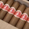 FLOR DE CANO ELEGIDOS BN 10