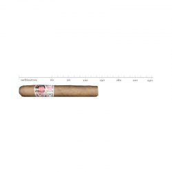 HOYO EPICURE ESPECIAL CAB 10