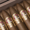 ROMEO Y JULIETA LINEA DE ORO NOBLES COFFRET 20