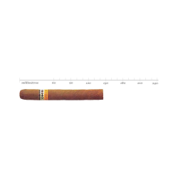 COHIBA SIGLO 4 ETUI 5