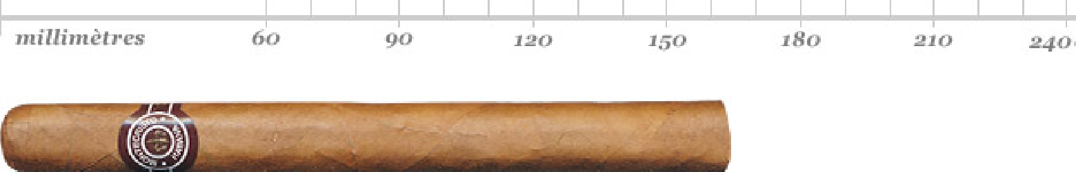 MONTECRISTO NO 1 SBN 25