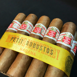 HOYO PETIT ROBUSTOS CAB 25