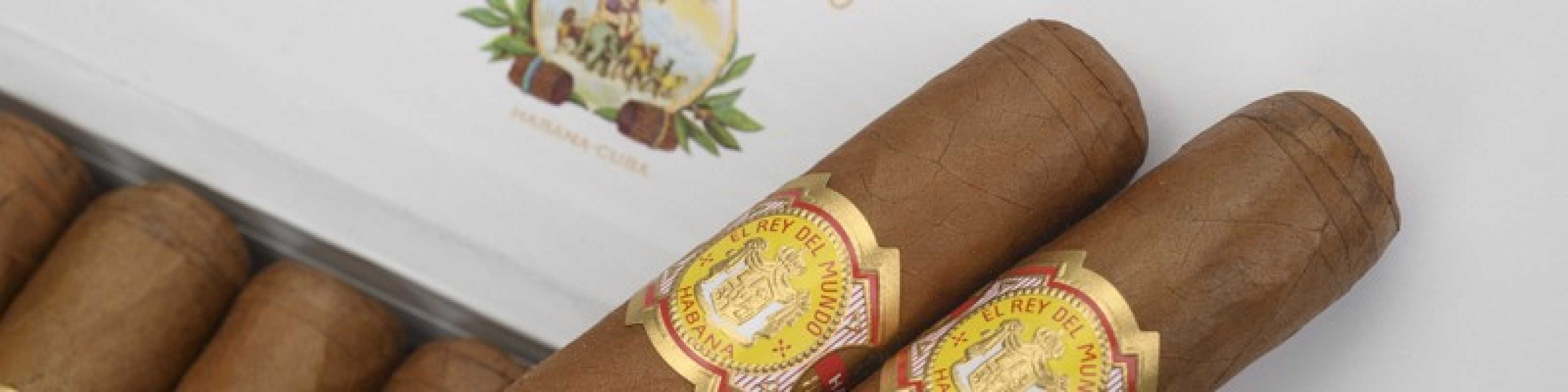 Rey del Mundo